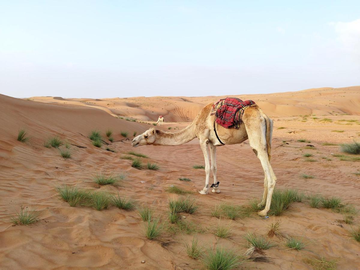 Sands Dream Tourism Camp شاحك المظهر الخارجي الصورة