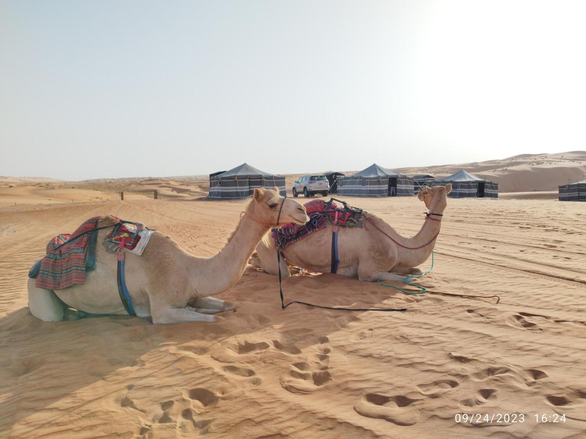 Sands Dream Tourism Camp شاحك المظهر الخارجي الصورة