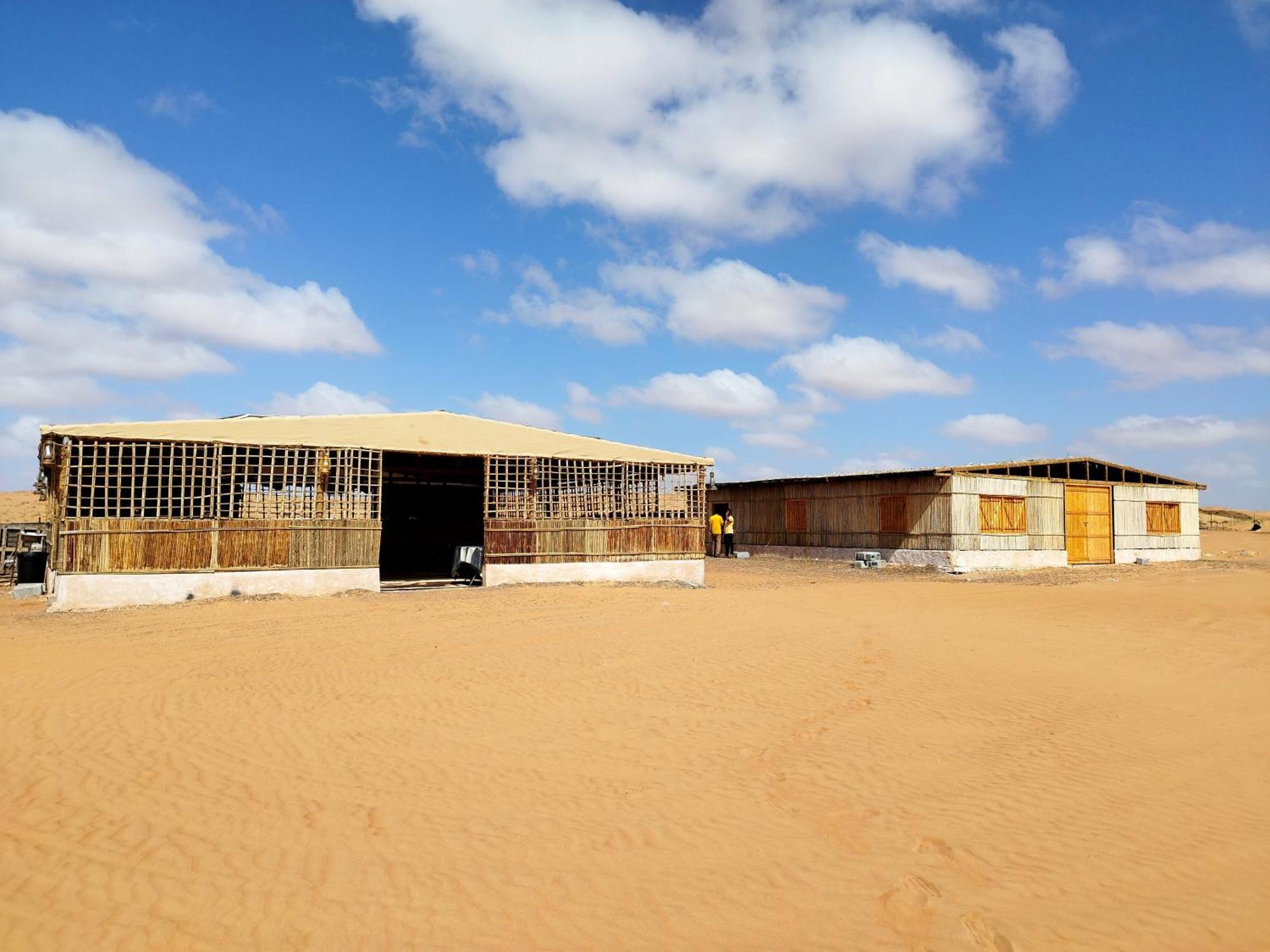 Sands Dream Tourism Camp شاحك المظهر الخارجي الصورة
